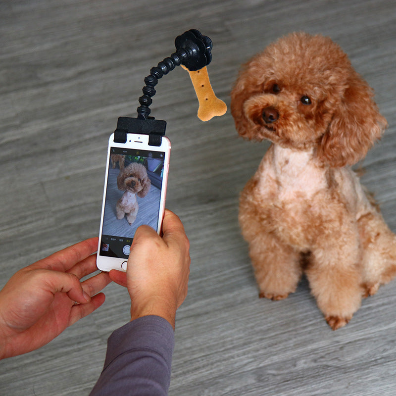 Pet Selfie Stick β Dog & Cat Photography Tool with Treat Holder | Training & Interaction Accessory