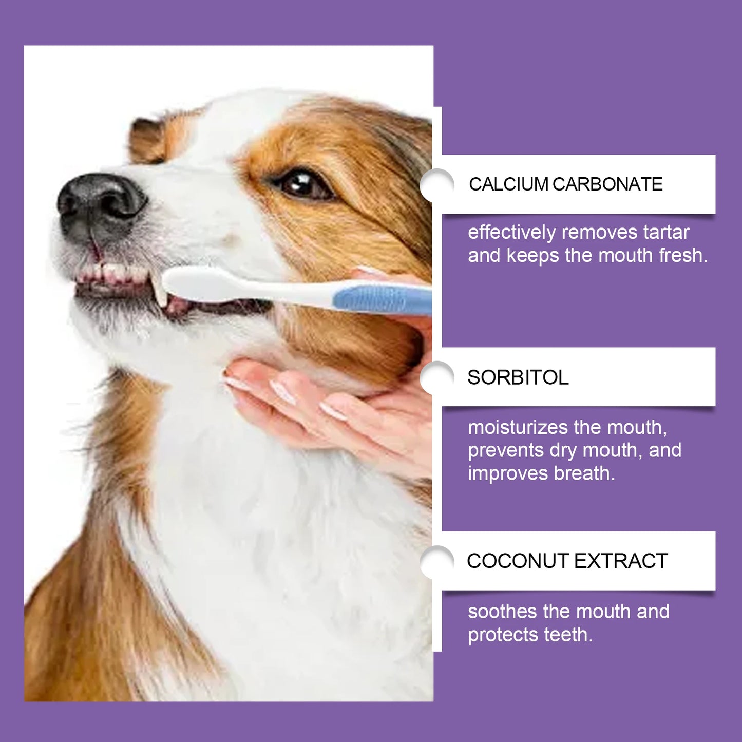 Probiotic Pet Toothpaste – Gentle Oral Care for Dogs & Cats | Plaque Removal & Fresh Breath