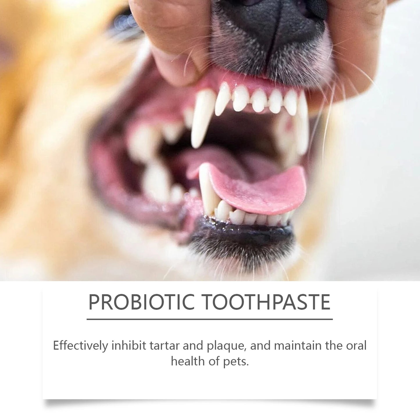 Probiotic Pet Toothpaste – Gentle Oral Care for Dogs & Cats | Plaque Removal & Fresh Breath