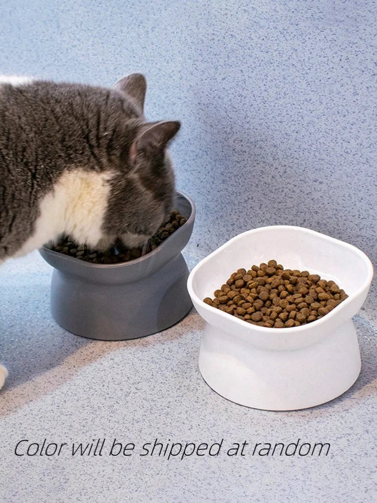 Pet Food & Water Bowl β Durable Plastic Feeding Dish for Cats & Small Dogs