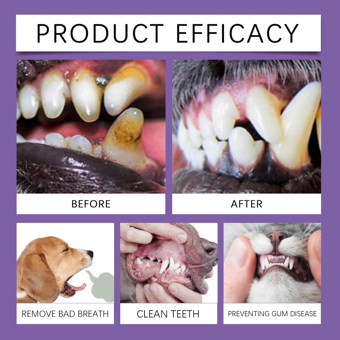 Probiotic Pet Toothpaste – Gentle Oral Care for Dogs & Cats | Plaque Removal & Fresh Breath