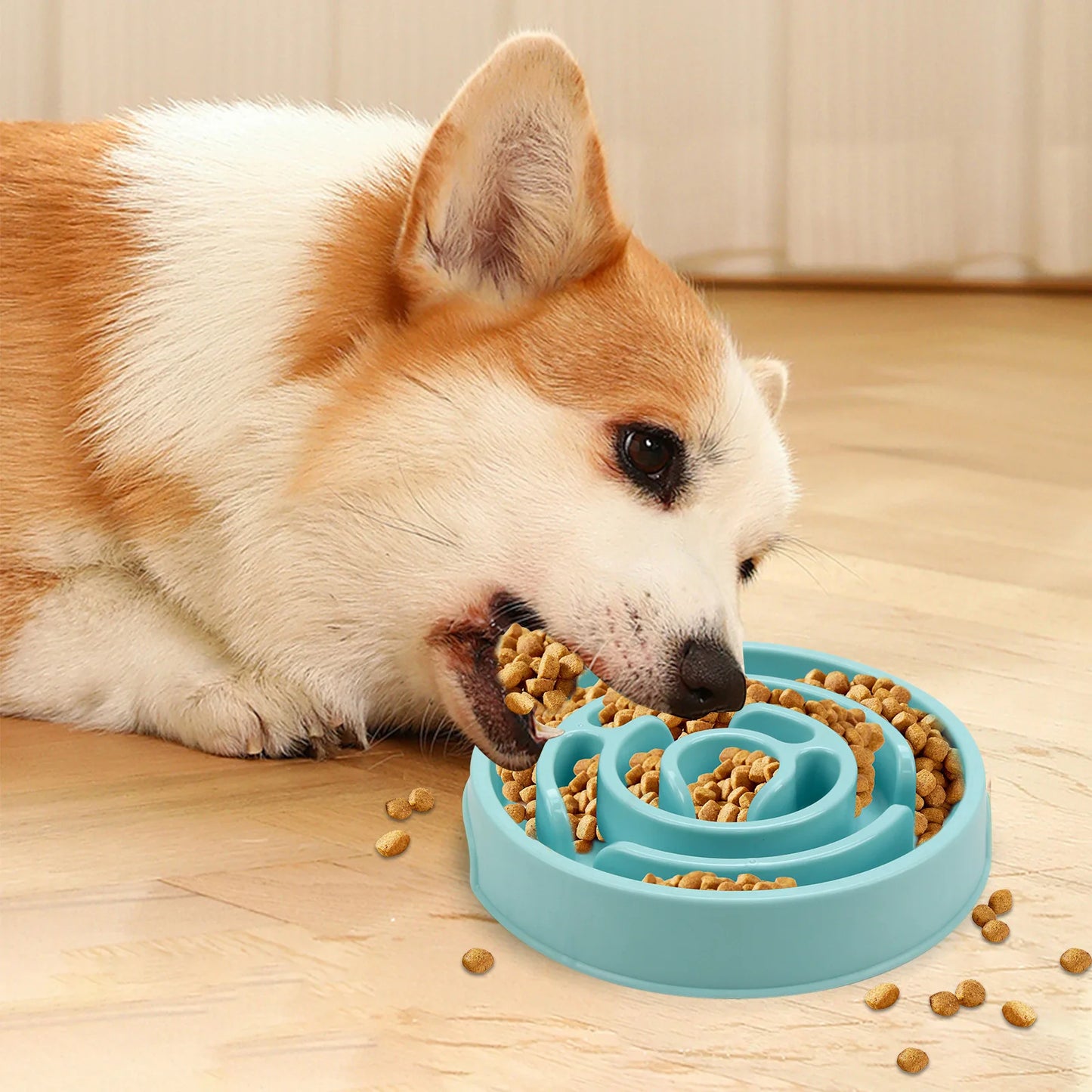 Pet Slow Food Bowl β Non-Slip Durable Feeder for Dogs & Cats | Improves Digestion