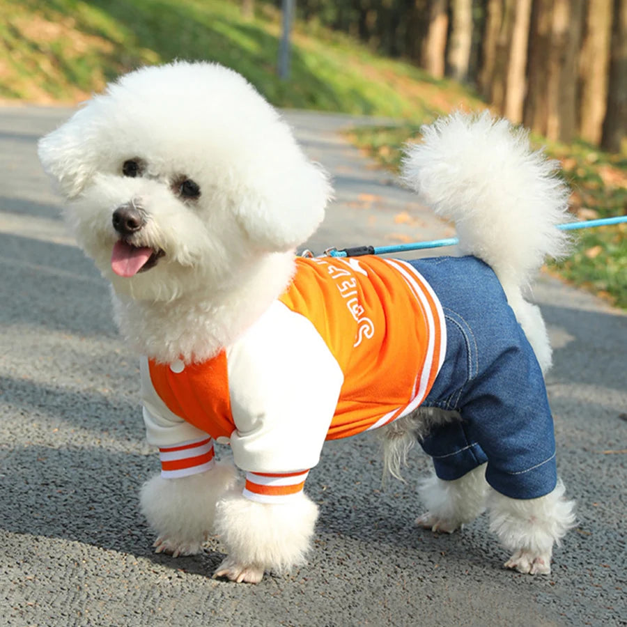 Pet Dog College Jacket with Denim Pants – 4-Legged One-Piece Outfit for Small & Medium Dogs