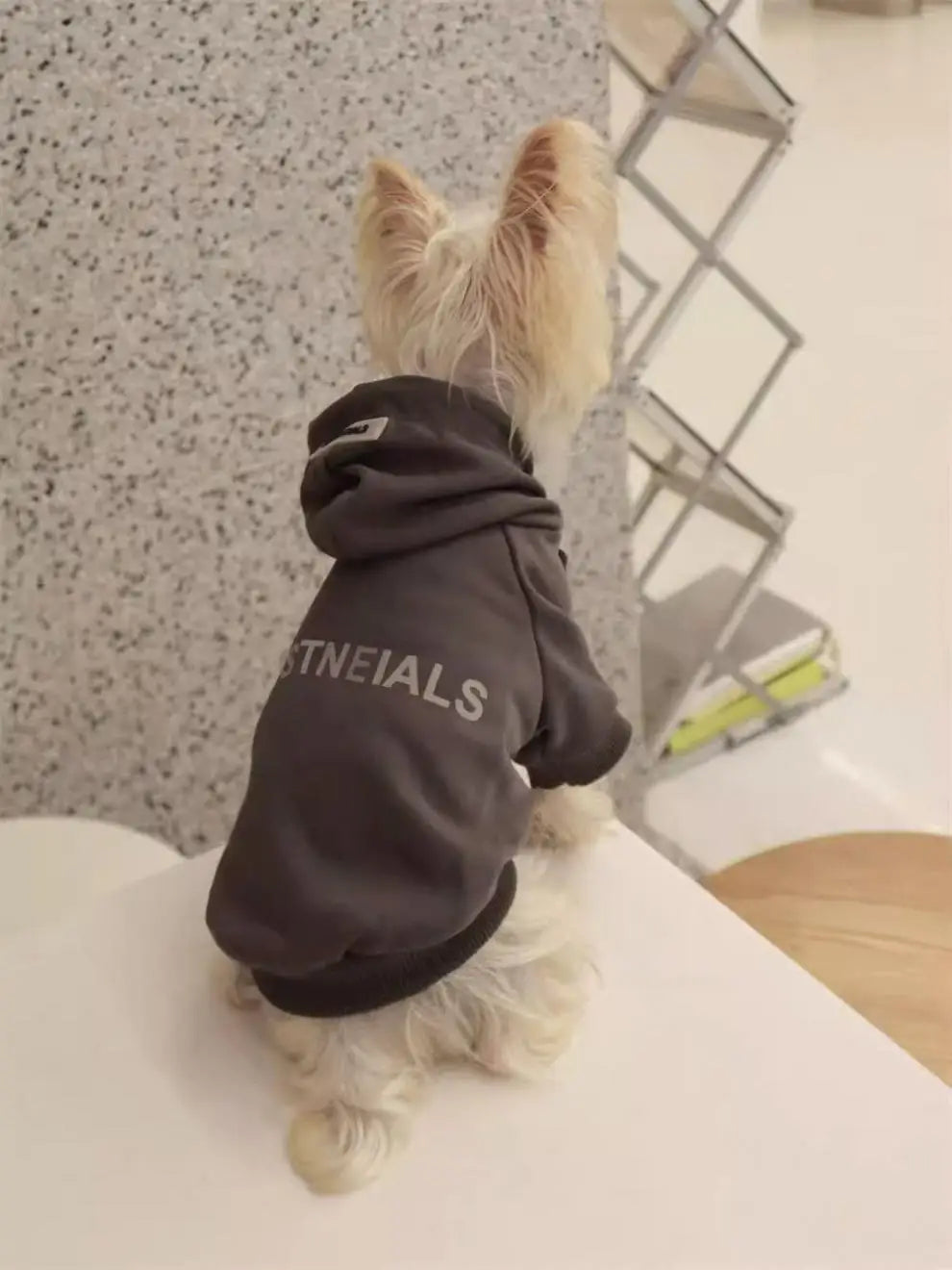Pet Hoodie for Small Dogs – Warm Wool-Lined Sweatshirt for Autumn & Winter | Teddy, Schnauzer, Yorkshire
