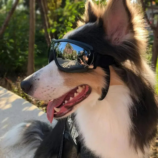 Adjustable Pet Dog Goggles – UV Protection Sunglasses for Outdoor Safety & Style