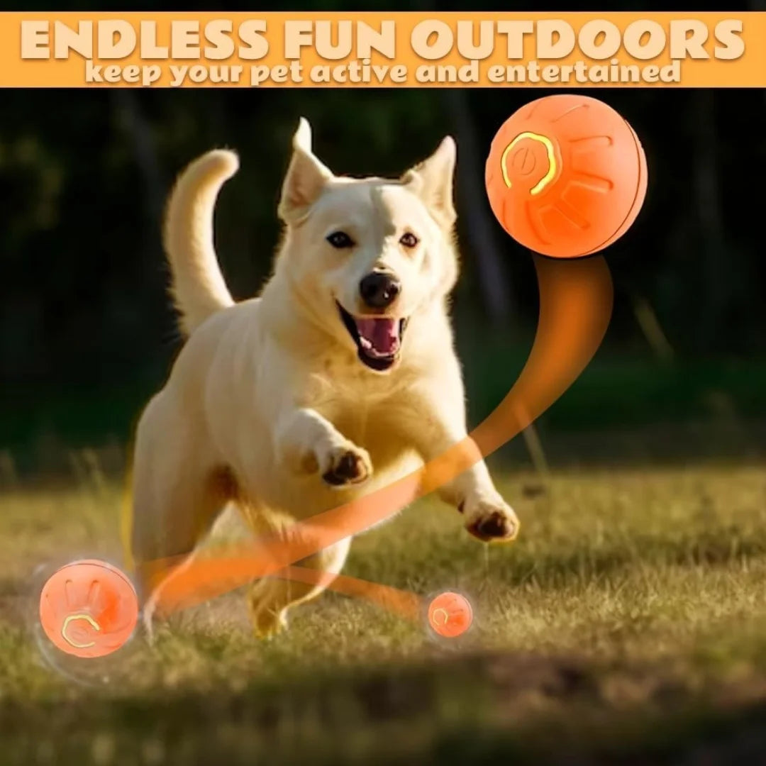 Smart Bouncing Pet Ball – Electric Interactive Toy for Dogs & Cats