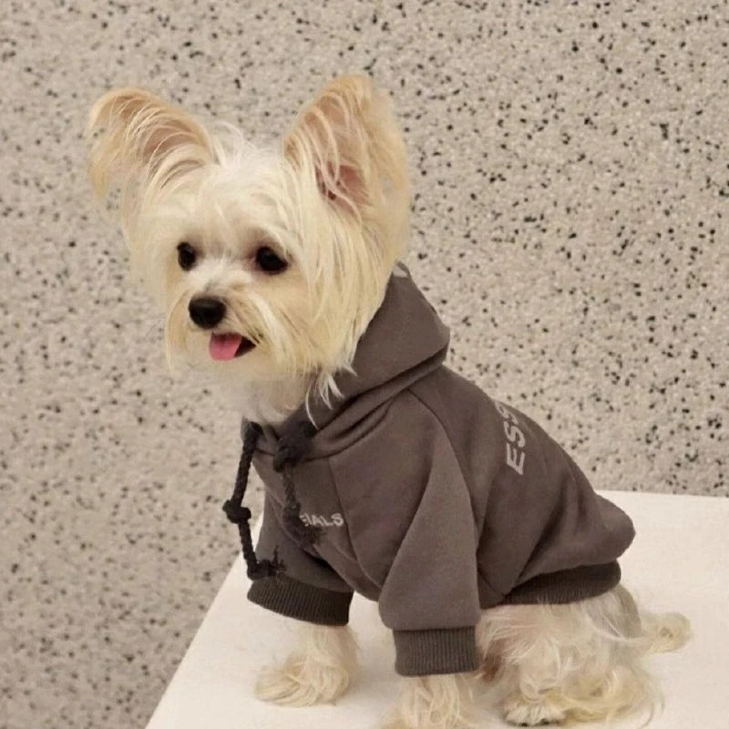 Pet Hoodie for Small Dogs – Warm Wool-Lined Sweatshirt for Autumn & Winter | Teddy, Schnauzer, Yorkshire