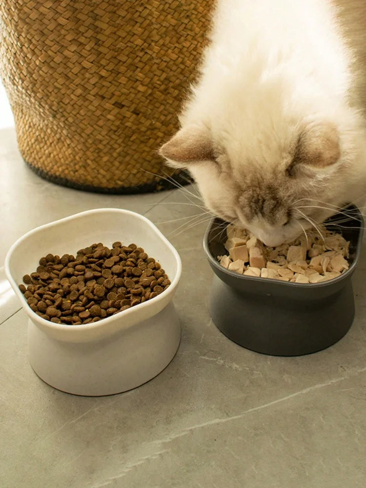 Pet Food & Water Bowl – Durable Plastic Feeding Dish for Cats & Small Dogs
