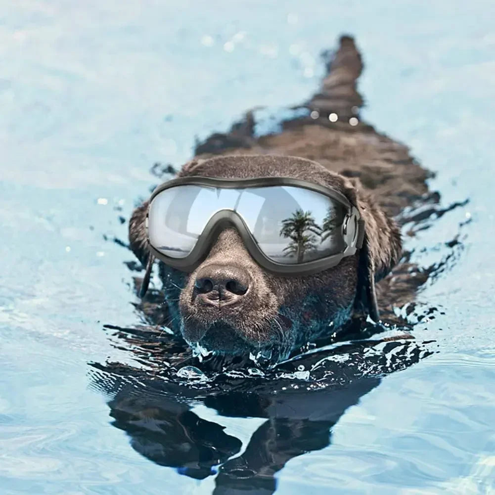 Adjustable Pet Dog Goggles – UV Protection Sunglasses for Outdoor Safety & Style