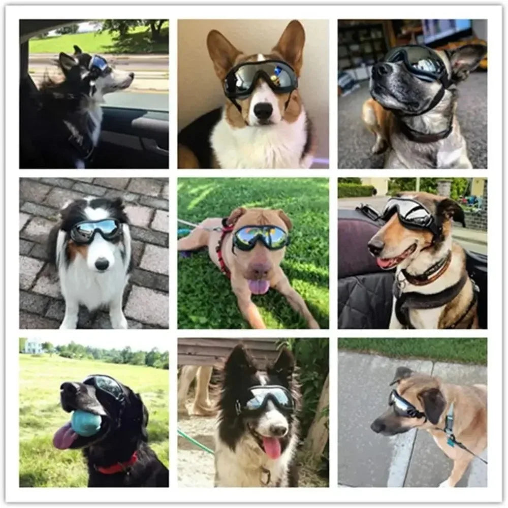 Adjustable Pet Dog Goggles – UV Protection Sunglasses for Outdoor Safety & Style