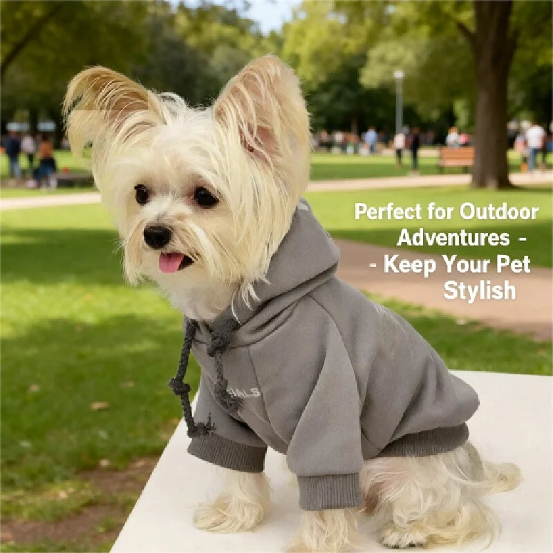 Pet Hoodie for Small Dogs – Warm Wool-Lined Sweatshirt for Autumn & Winter | Teddy, Schnauzer, Yorkshire
