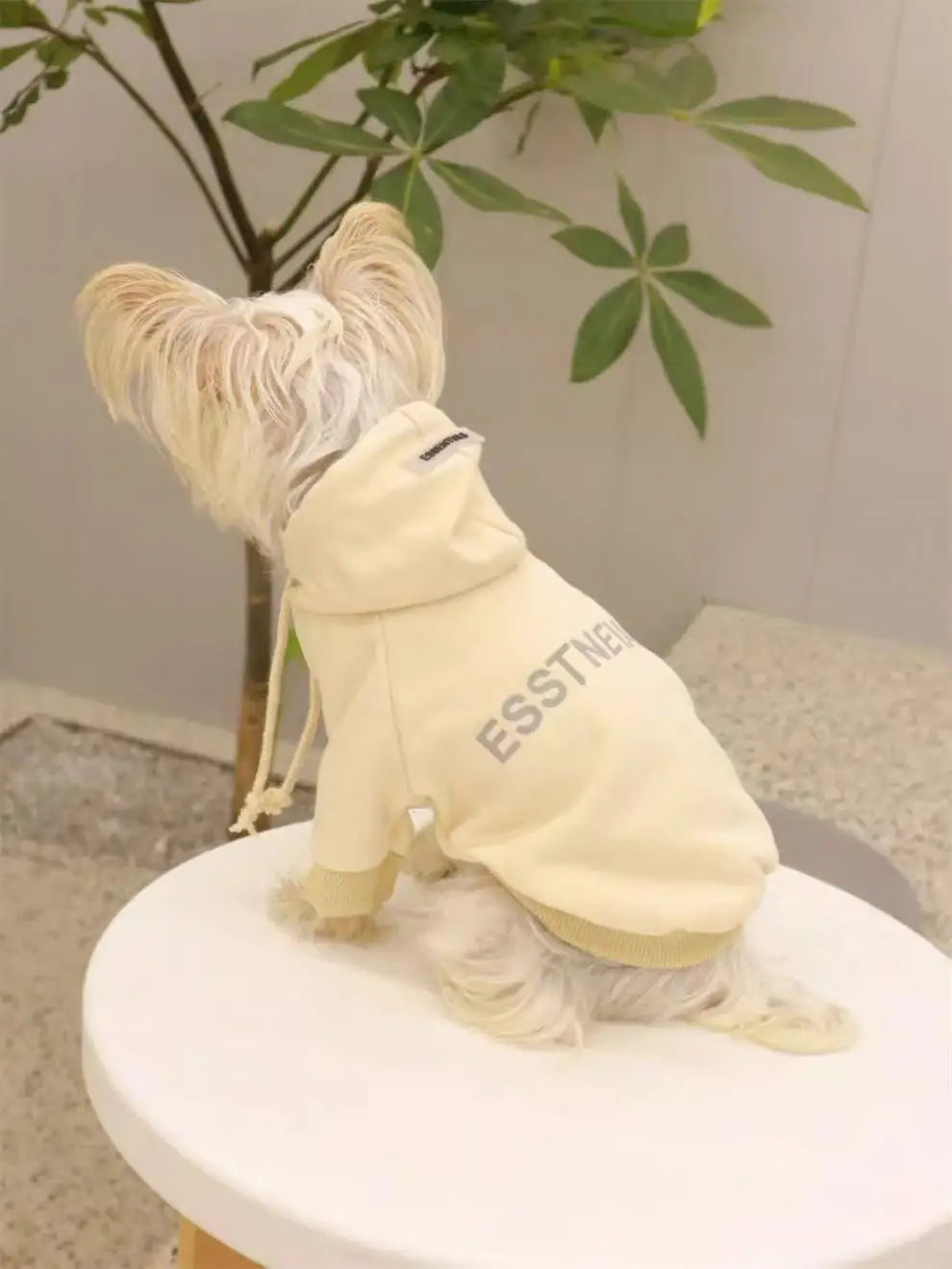 Pet Hoodie for Small Dogs – Warm Wool-Lined Sweatshirt for Autumn & Winter | Teddy, Schnauzer, Yorkshire