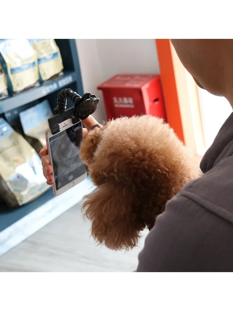Pet Selfie Stick – Dog &amp; Cat Photography Tool with Treat Holder | Training &amp; Interaction Accessory