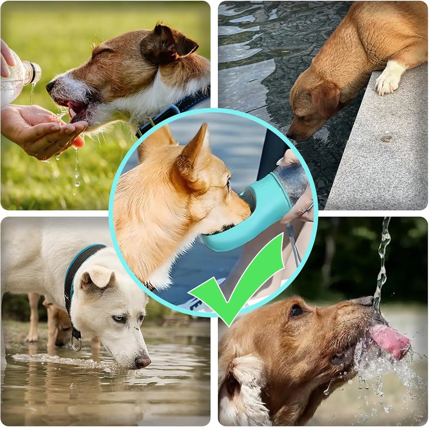 Portable Pet Water Cup – Outdoor Travel Bottle & Feeder for Dogs