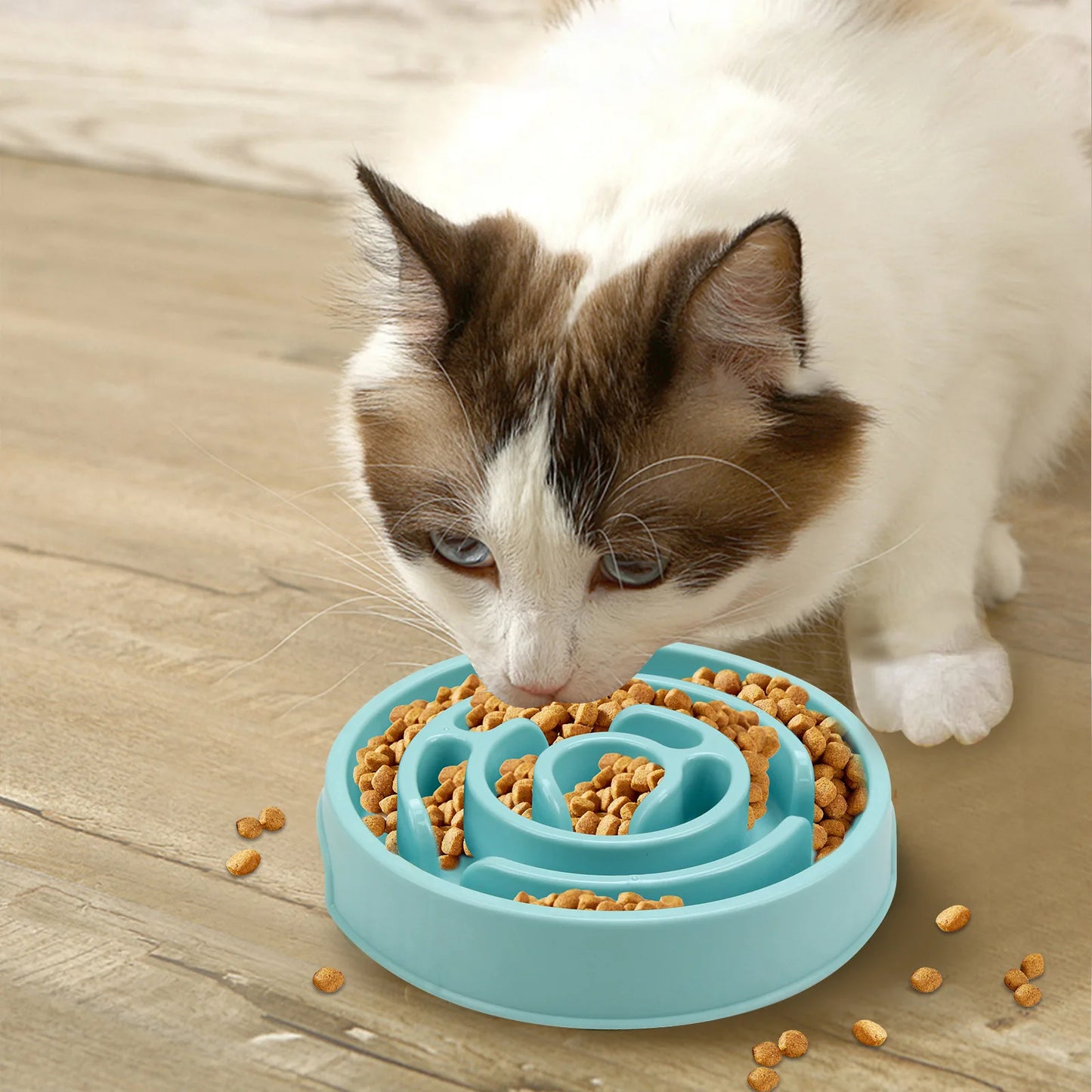 Pet Slow Food Bowl – Non-Slip Durable Feeder for Dogs & Cats | Improves Digestion