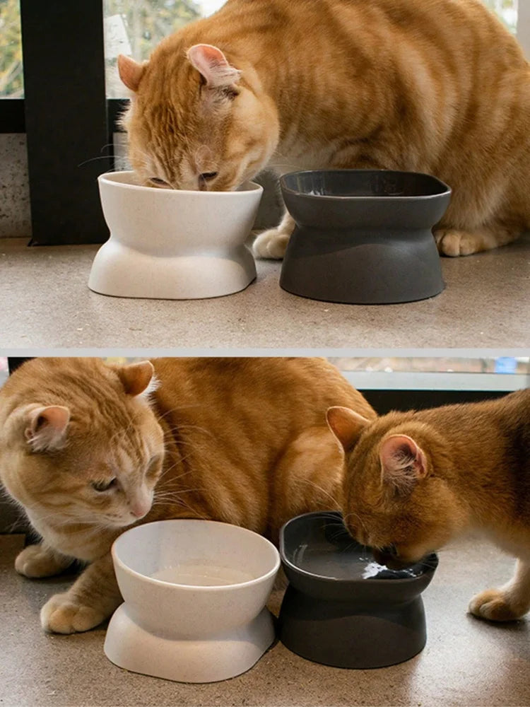 Pet Food & Water Bowl – Durable Plastic Feeding Dish for Cats & Small Dogs