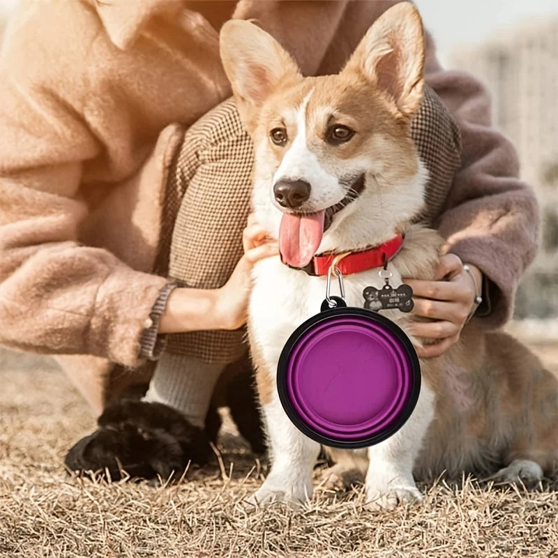 Collapsible Pet Travel Bowl – Portable Silicone Food & Water Bowl for Dogs & Cats