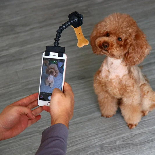 Pet Selfie Stick – Dog &amp; Cat Photography Tool with Treat Holder | Training &amp; Interaction Accessory