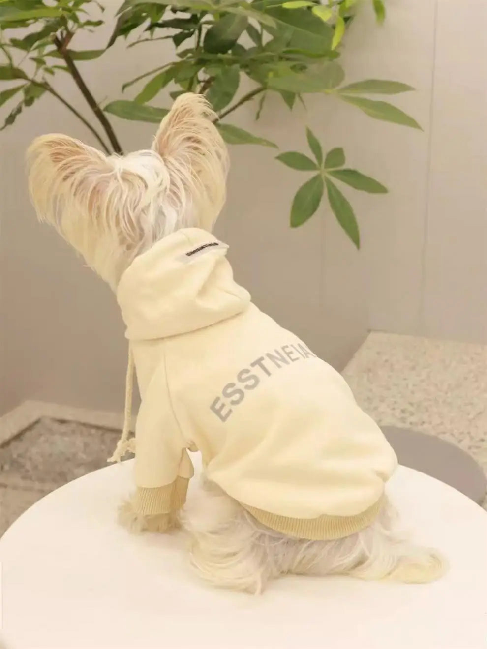 Pet Hoodie for Small Dogs – Warm Wool-Lined Sweatshirt for Autumn & Winter | Teddy, Schnauzer, Yorkshire
